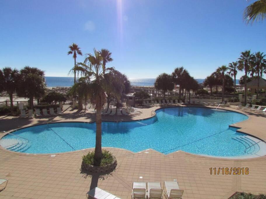 Doral 103 - Charming Beachfront / Ground Floor Condo! 굴프 쇼어스 외부 사진